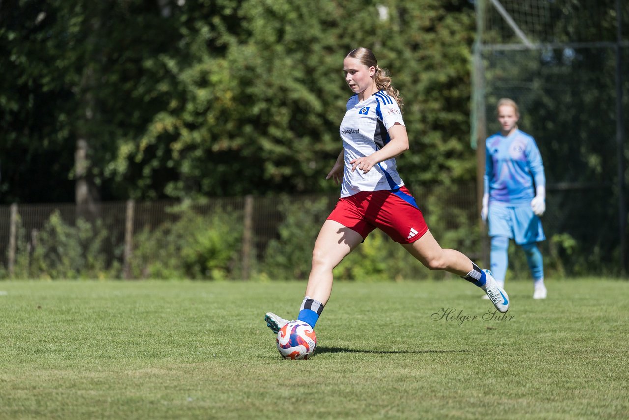 Bild 397 - wBJ Hamburger SV - VfL Wolfsburg : Ergebnis: 5:1